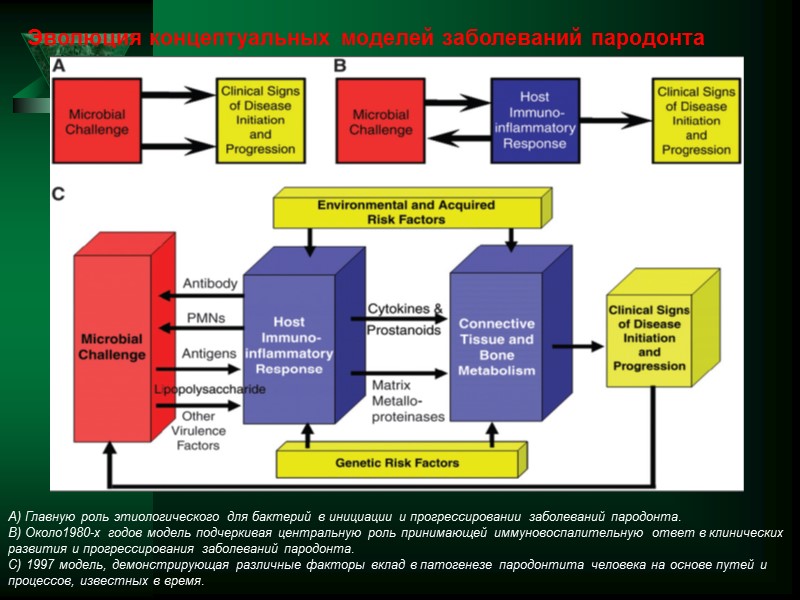 A) Главную роль этиологического для бактерий в инициации и прогрессировании заболеваний пародонта.  B)